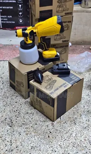 Dewalt Cordless Spray Gun