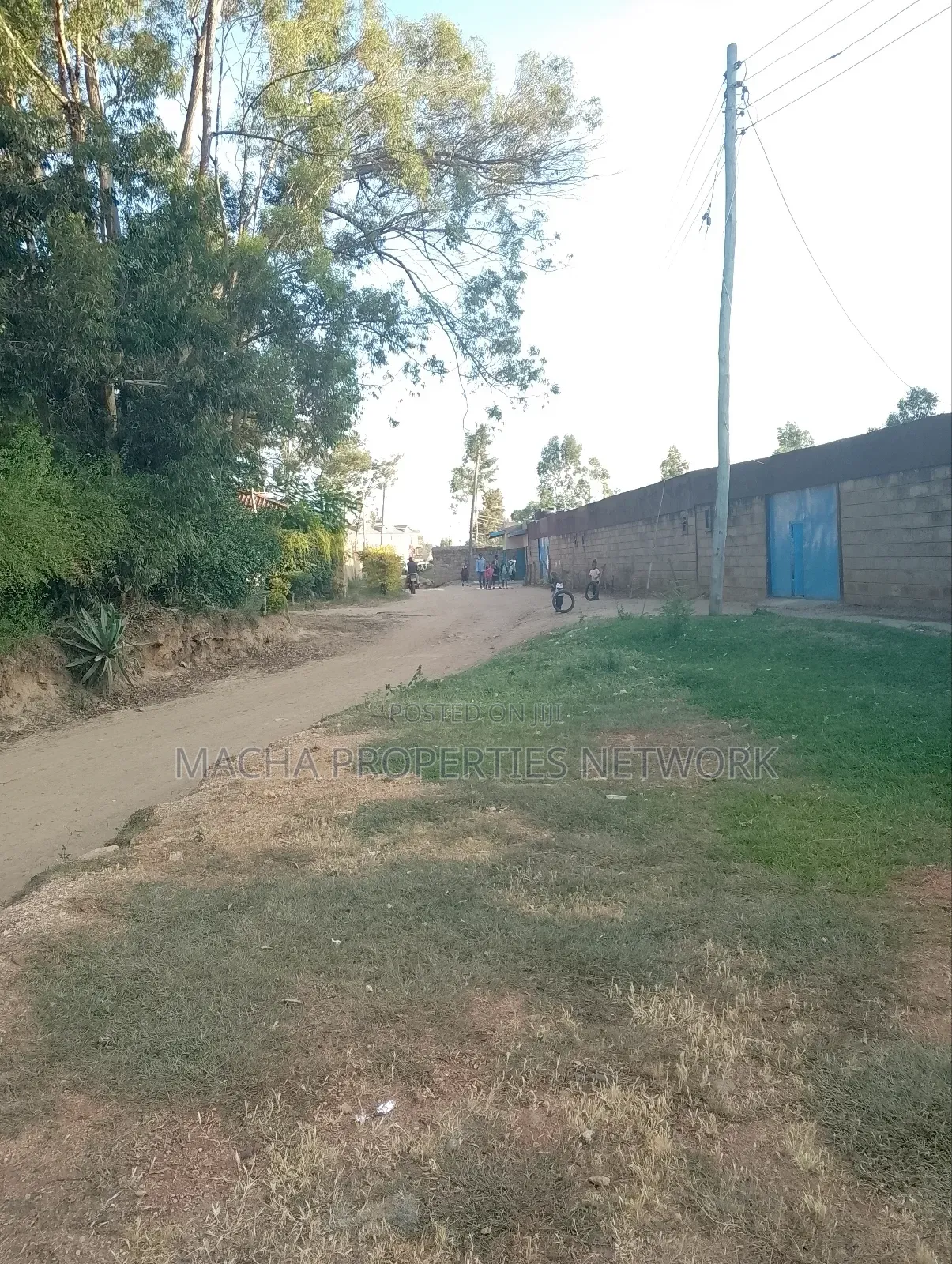 Machakos -Mumbuni Multiple Plots 50by 100,100x100ft , Etc