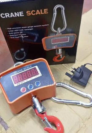 Electronic Crane Scale 500kgs