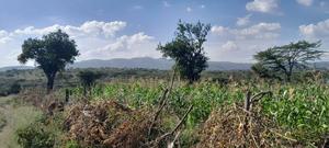 Quarter of an Acre at 3.5m - thumbnail 2