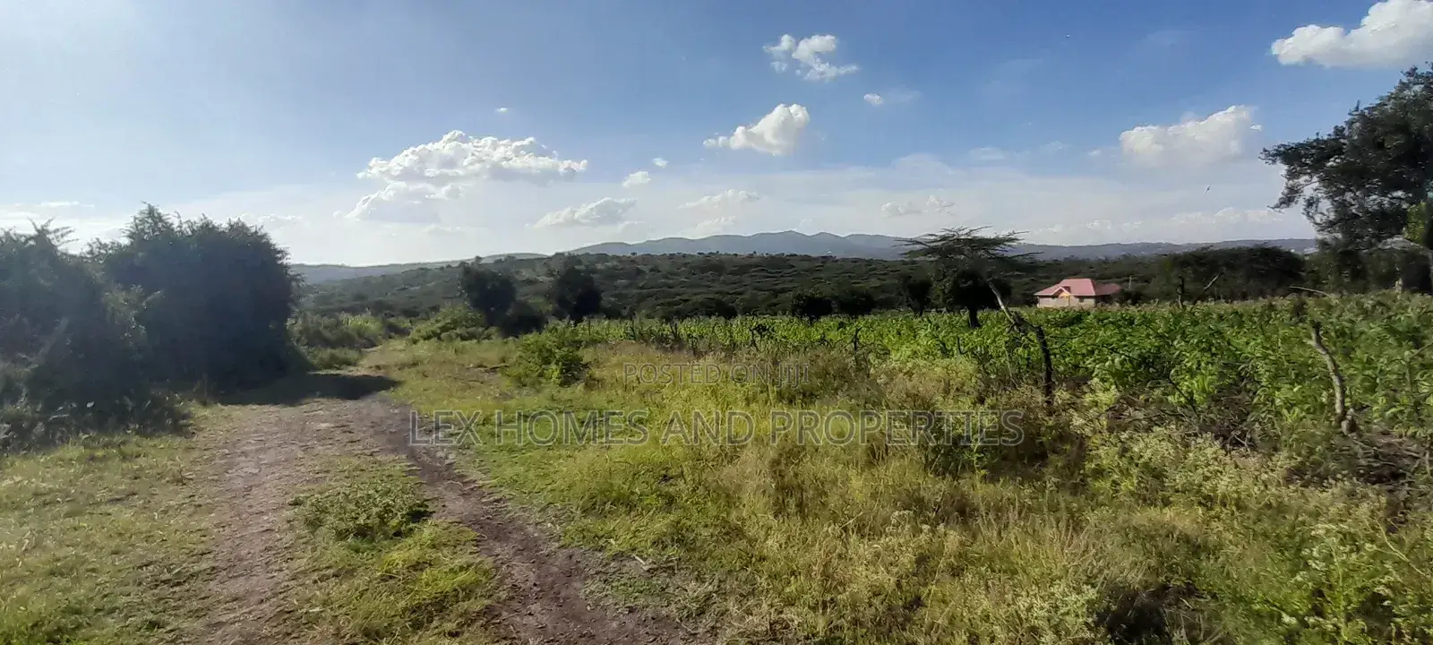 Quarter of an Acre at 3.5m