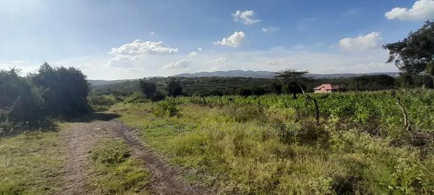 Quarter of an Acre at 3.5m - thumbnail 7