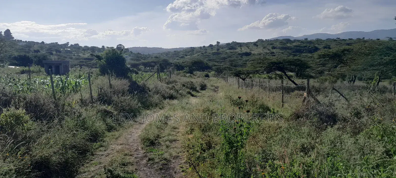 Quarter of an Acre at 3.5m