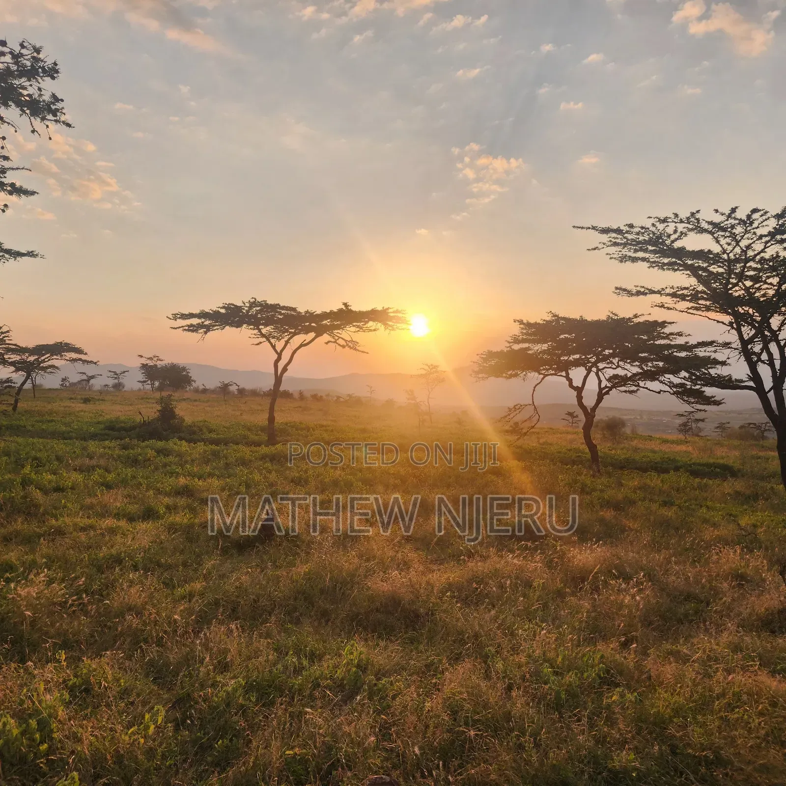 1.5 Acres at Corner Baridi