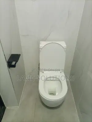 Plumbing Works