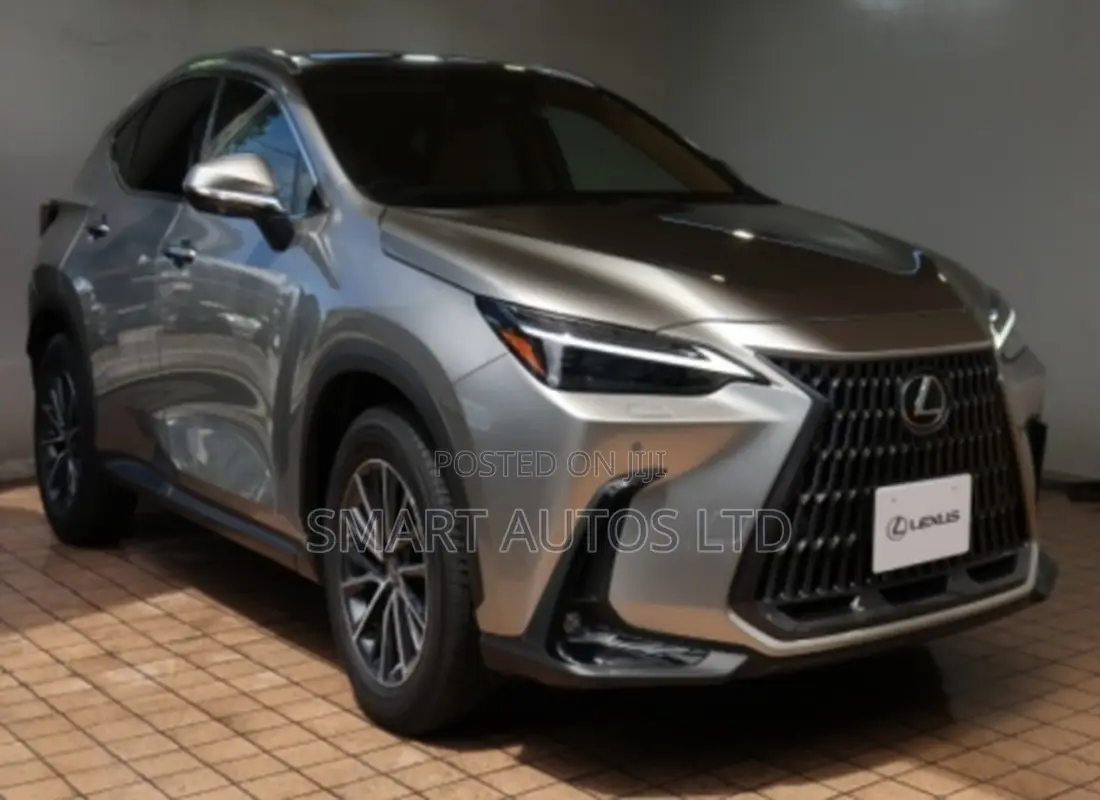 Lexus NX 2022 Silver