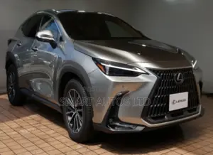 Lexus NX 2022 Silver