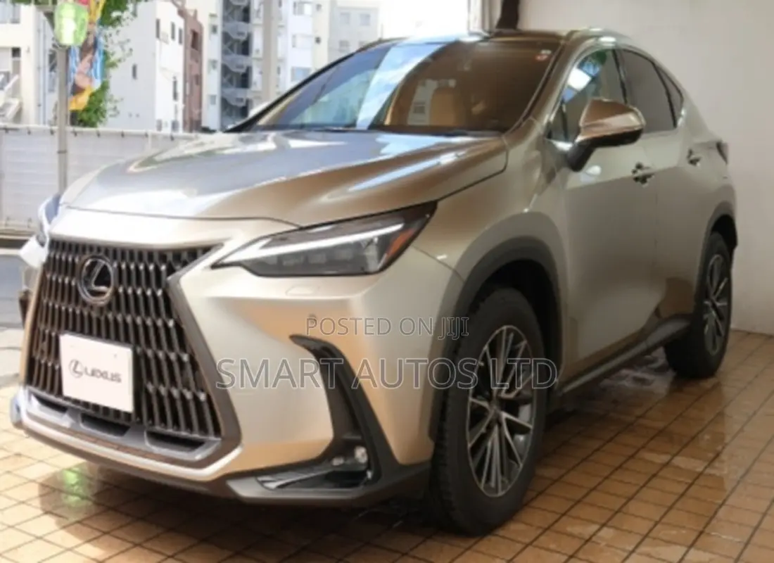 Lexus NX 2022 Silver