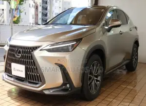 Lexus NX 2022 Silver