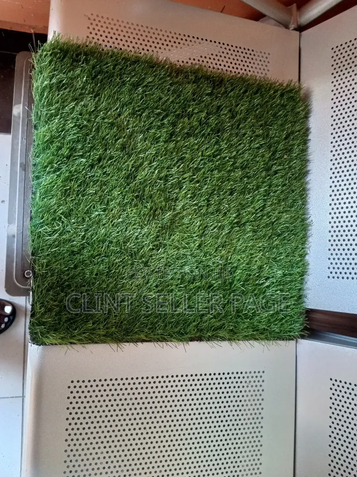Artificial Grass.