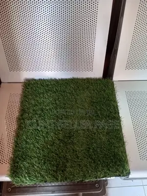 Artificial Grass.