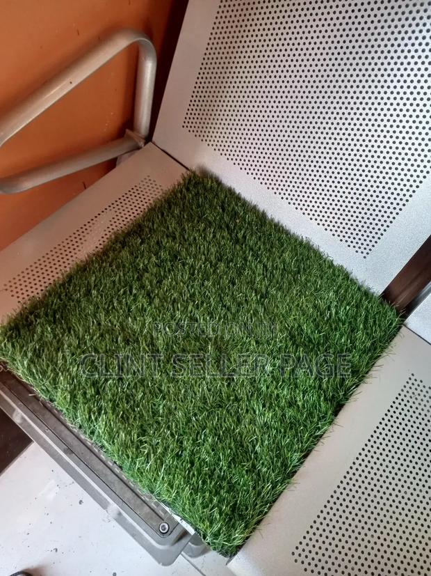 Carpet Grass/Artificial Grass - main view