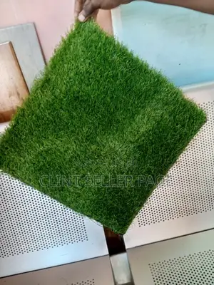 Carpet Grass/Artificial Grass