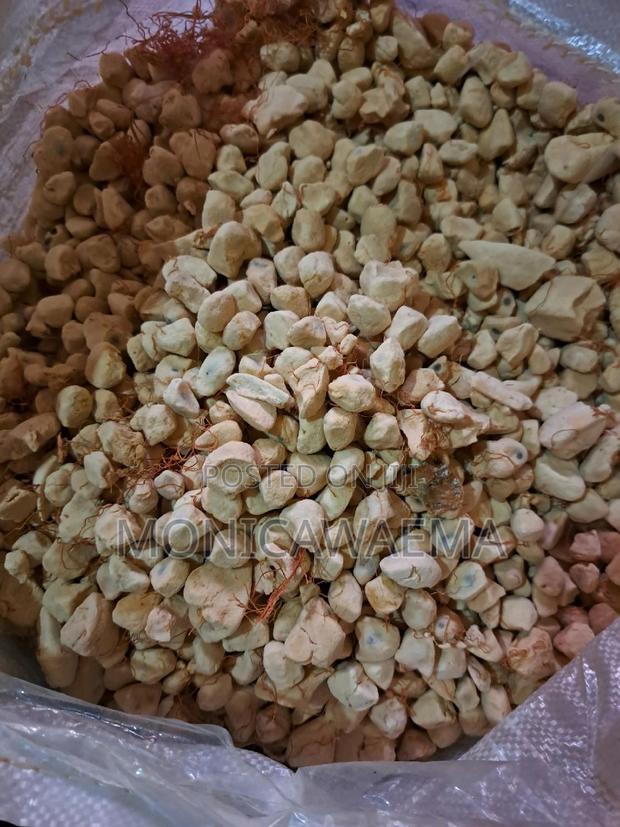 Baobab(Mabuyu) - main view