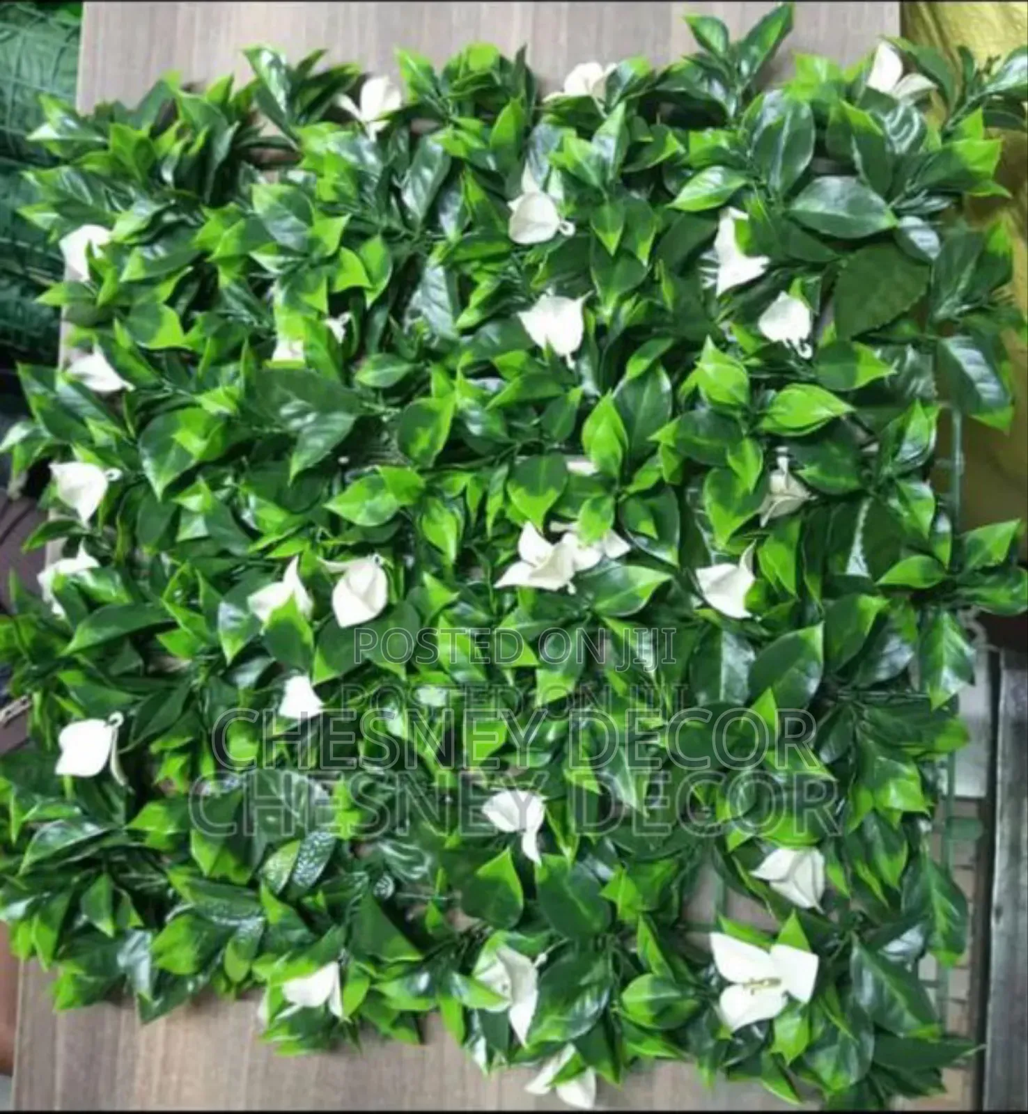 Decor Backdrops
