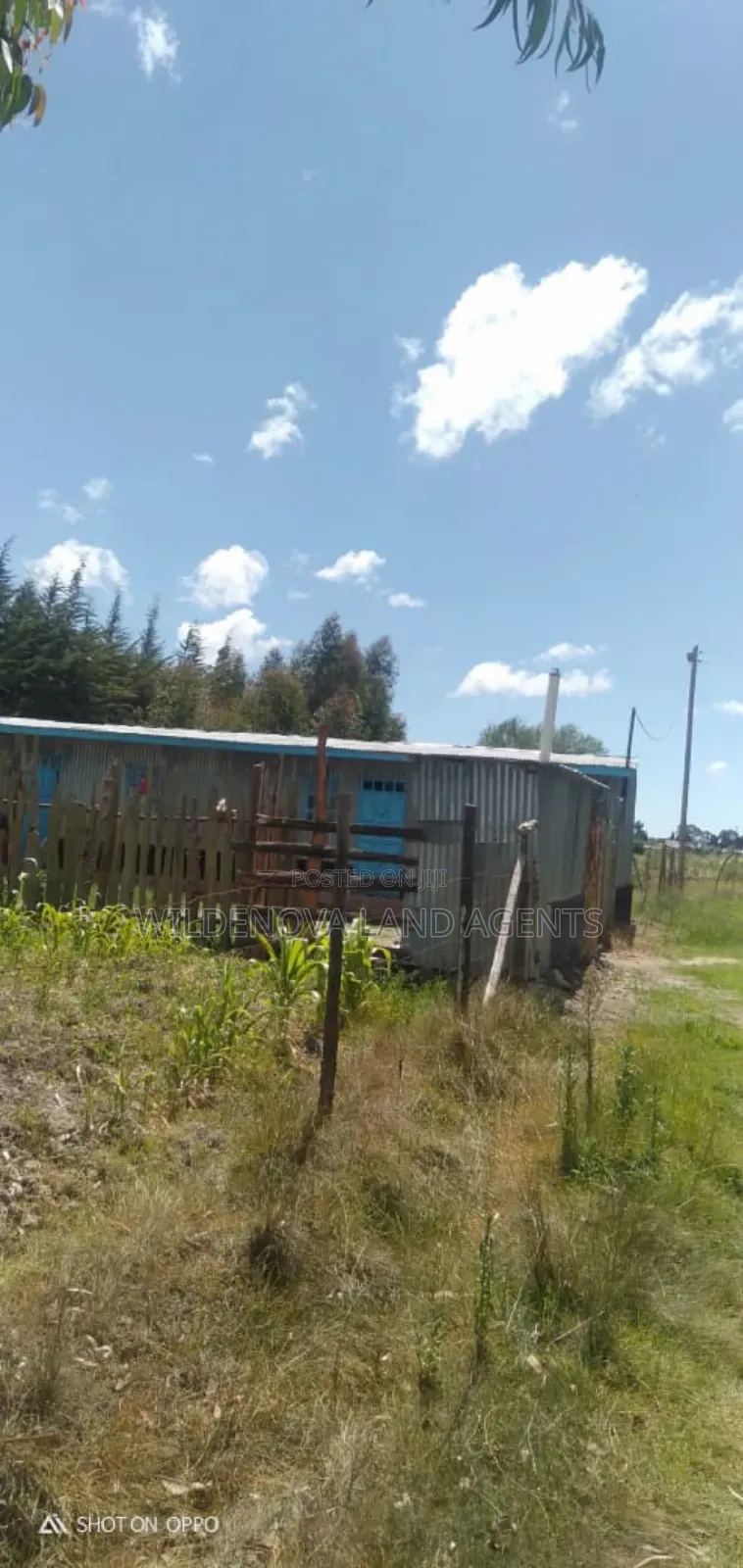 Plot on Sale at Mtonyora Kinangop