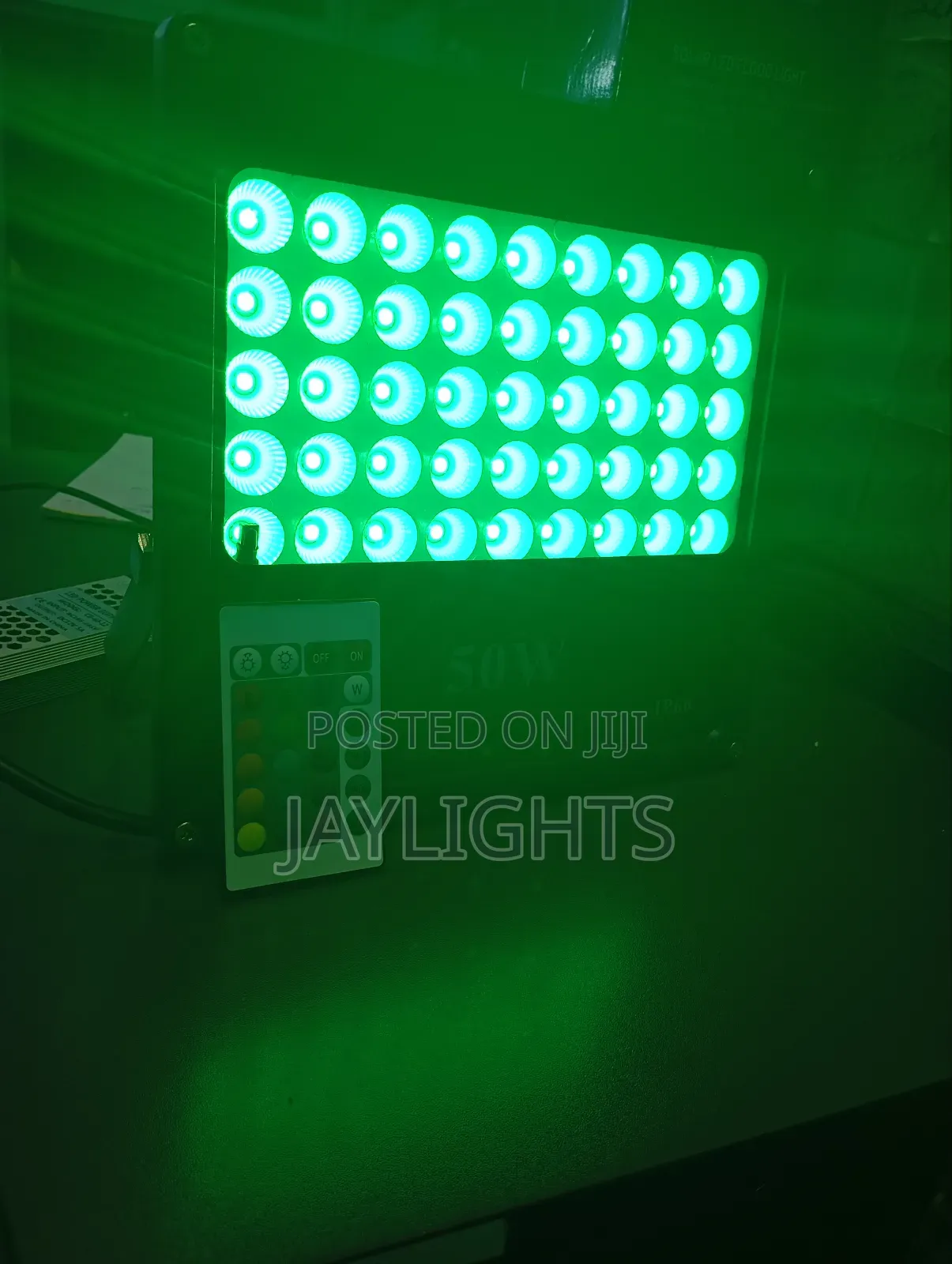 Multi Colors RGB 50W Remote Spotlight Outdoor Floodlight