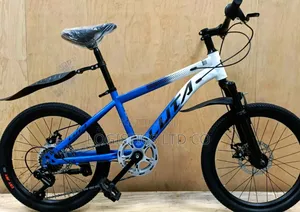 Size 20 Luta Geared Bicycle
