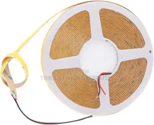 Strip Lights 5mtrs 12v Dc Daylight/Warmlight