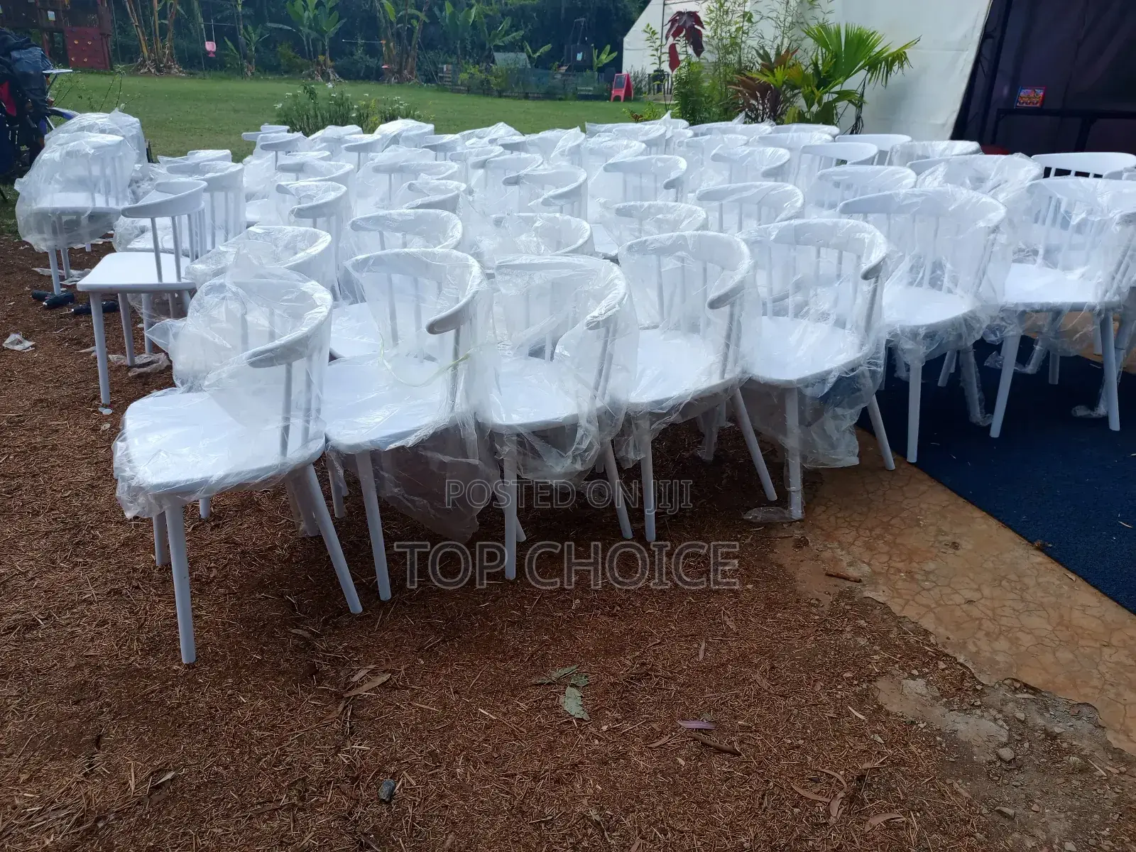 Events Chairs/Hotel Chairs