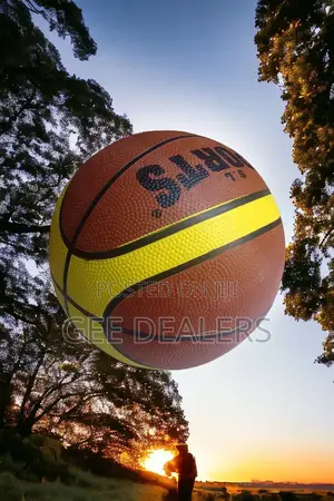 Basketball Balls,Indoor/Outdoor Balls