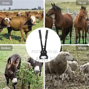 Livestock Equipment for Hoof Trimming