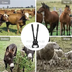 Livestock Equipment for Hoof Trimming