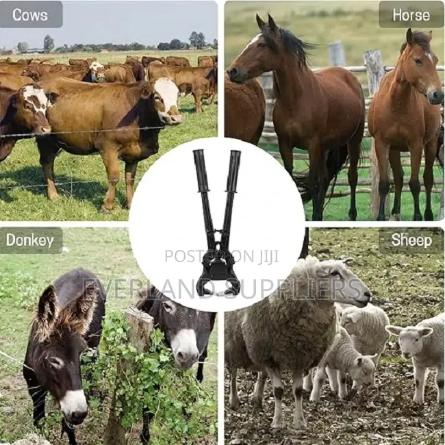 Livestock Equipment for Hoof Trimming