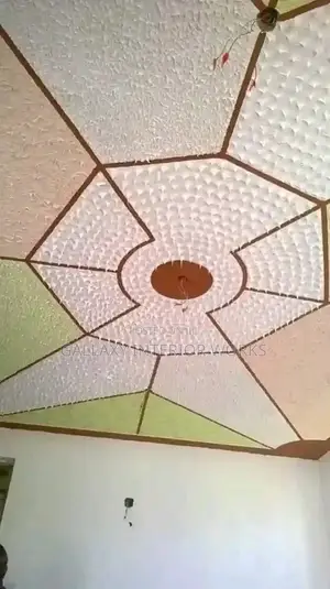 Best House Painter , Wallmaster , Skimming and House Renovations