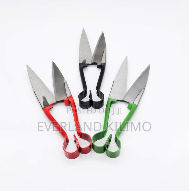 Wool Cutting Shears - main view