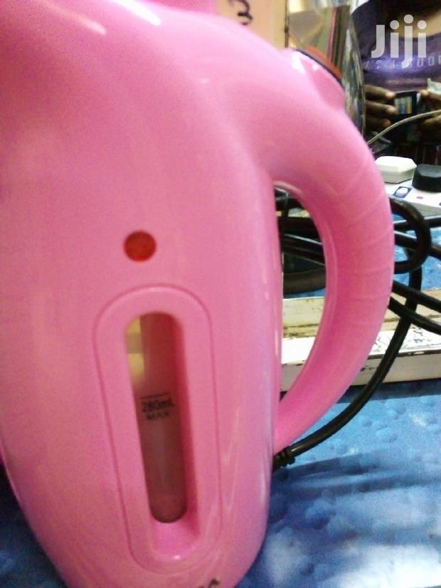 Garment Steamer