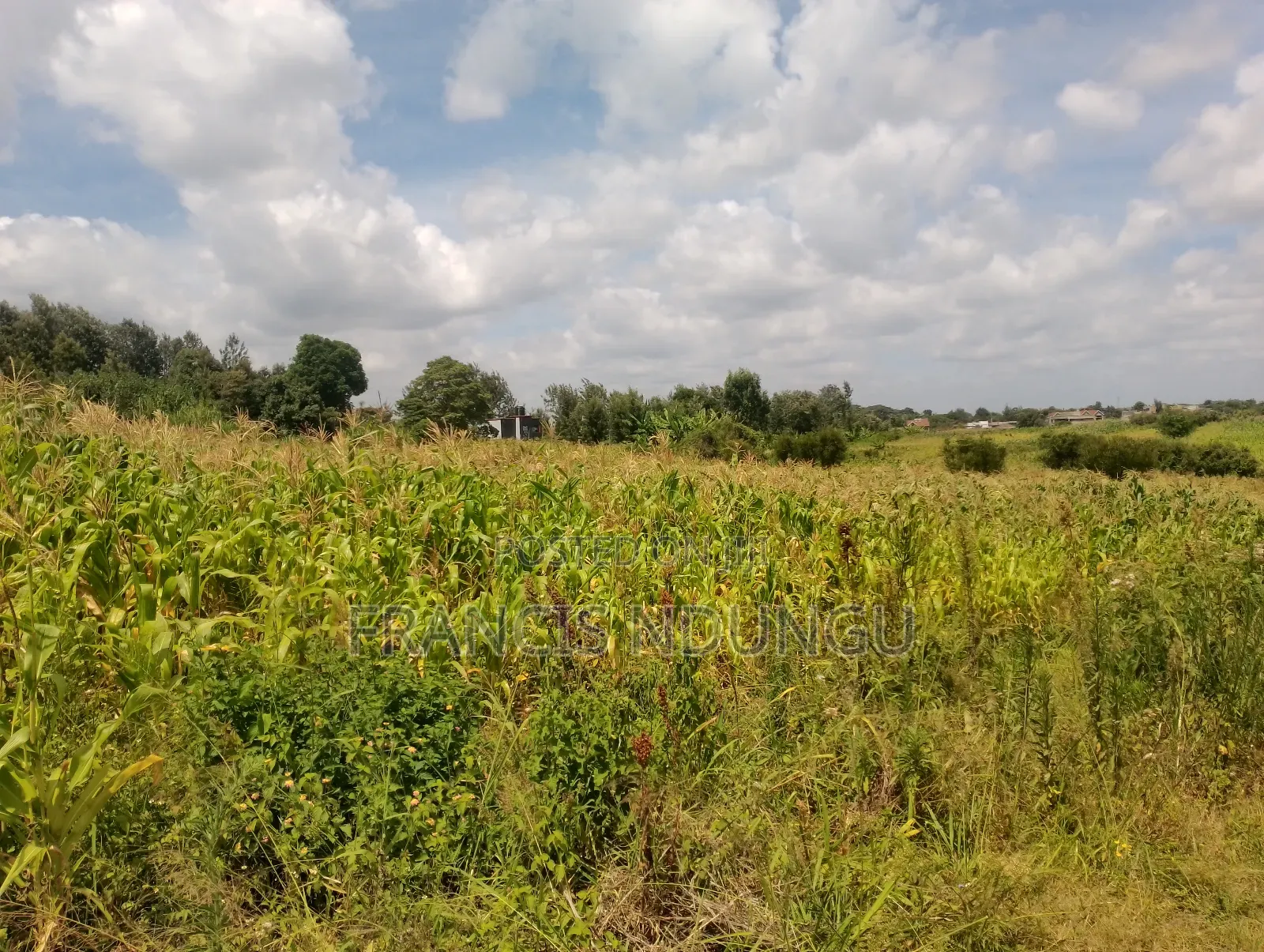 Residential Plots for Sale Anmer Estate Migaa
