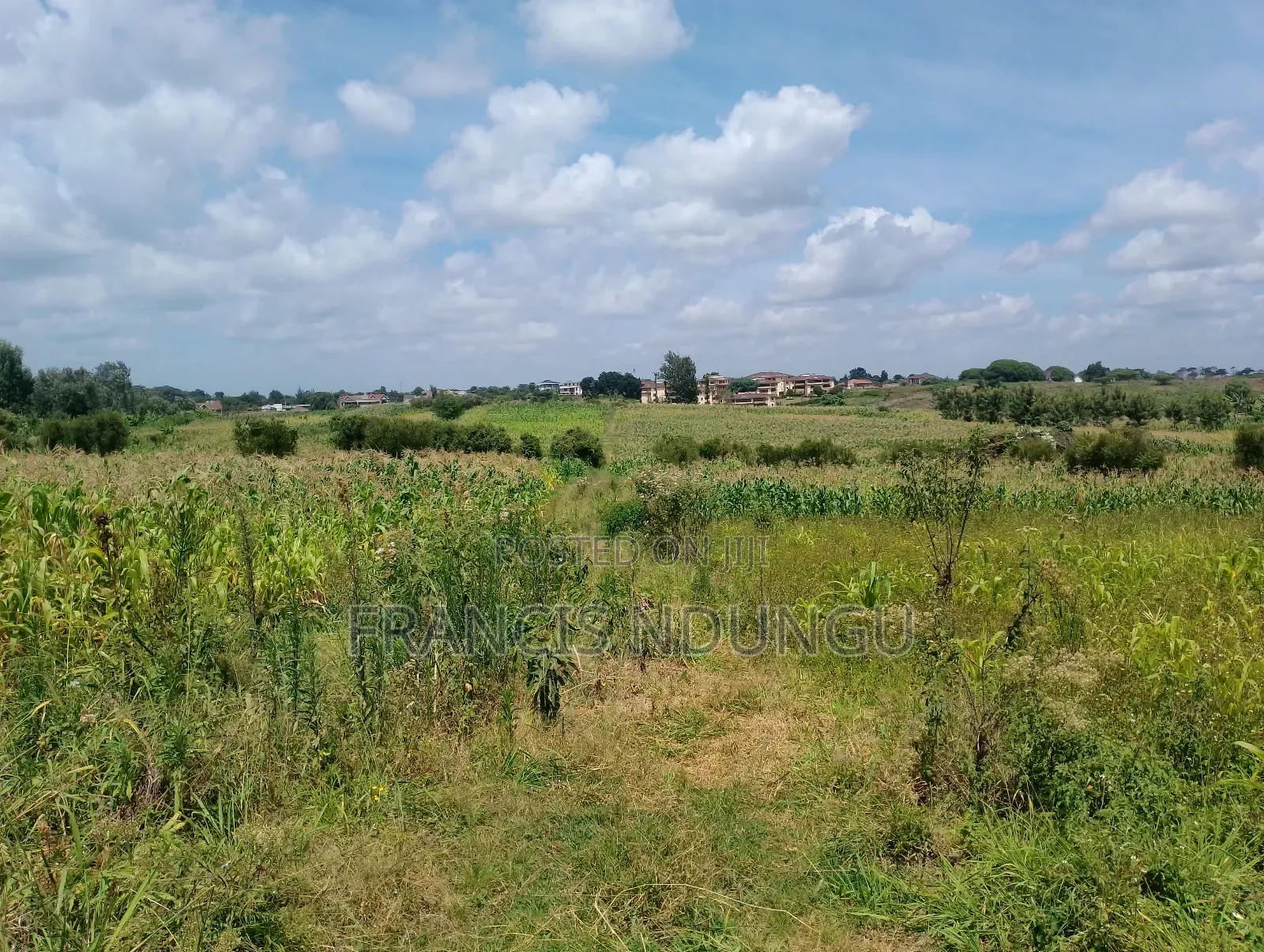 Residential Plots for Sale Anmer Estate Migaa