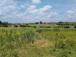 Residential Plots for Sale Anmer Estate Migaa