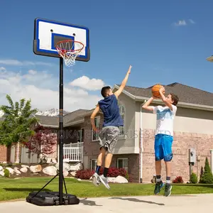 44 Inch Impact Portable Adjustable Basketball Hoop