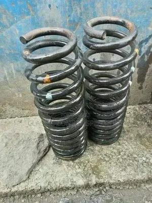 Land Cruiser Springs