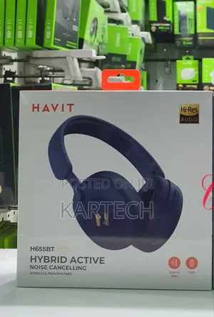 Havit H655BT Pro Hybrid ANC Wireless Headphones -Blue