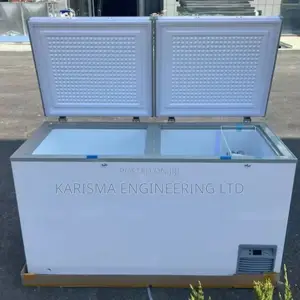 Double Door Commercial Deep Freezer. 418L