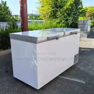 Double Door Commercial Chest Freezer