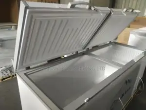 Double Door Commercial Chest Freezer