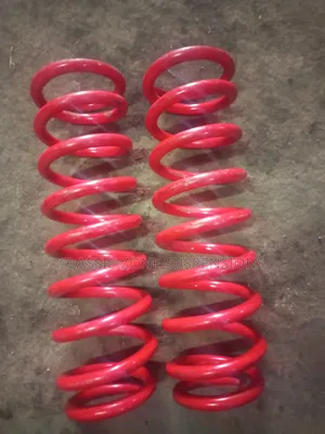 Land Cruiser Prado Springs
