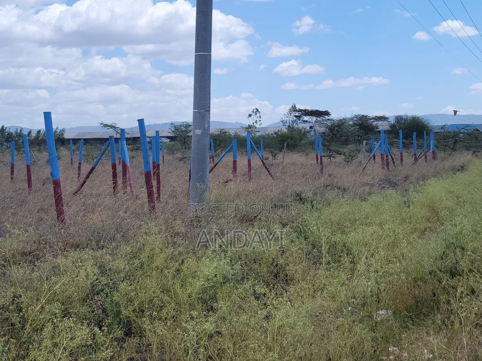 Prime Plots Along Kangundo Road, Kantafu