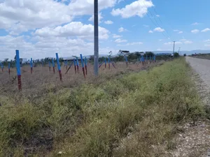 Prime Plots Along Kangundo Road, Kantafu