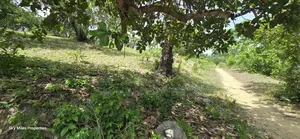 Mtwapa Creek Beach, 1.2-acre Land Available For Sale