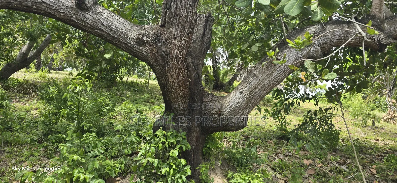 Mtwapa Creek Beach, 1.2-acre Land Available For Sale