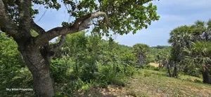 Mtwapa Creek Beach, 1.2-acre Land Available For Sale
