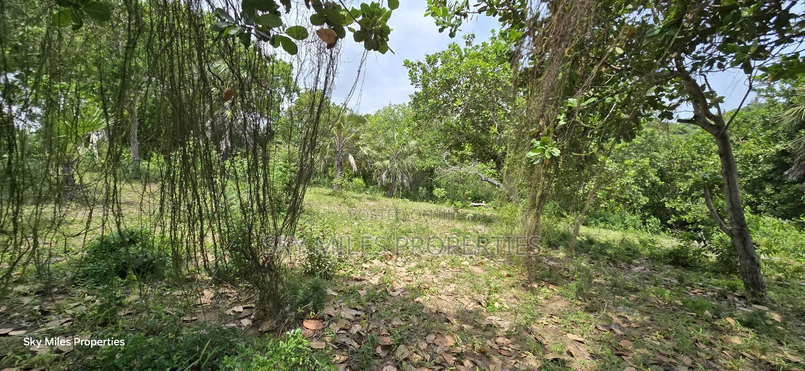 Mtwapa Creek Beach, 1.2-acre Land Available For Sale