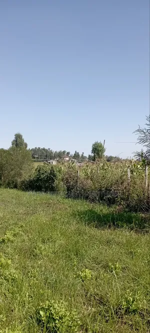 50×100 Plots for Sale in Matasia, Kiserian.