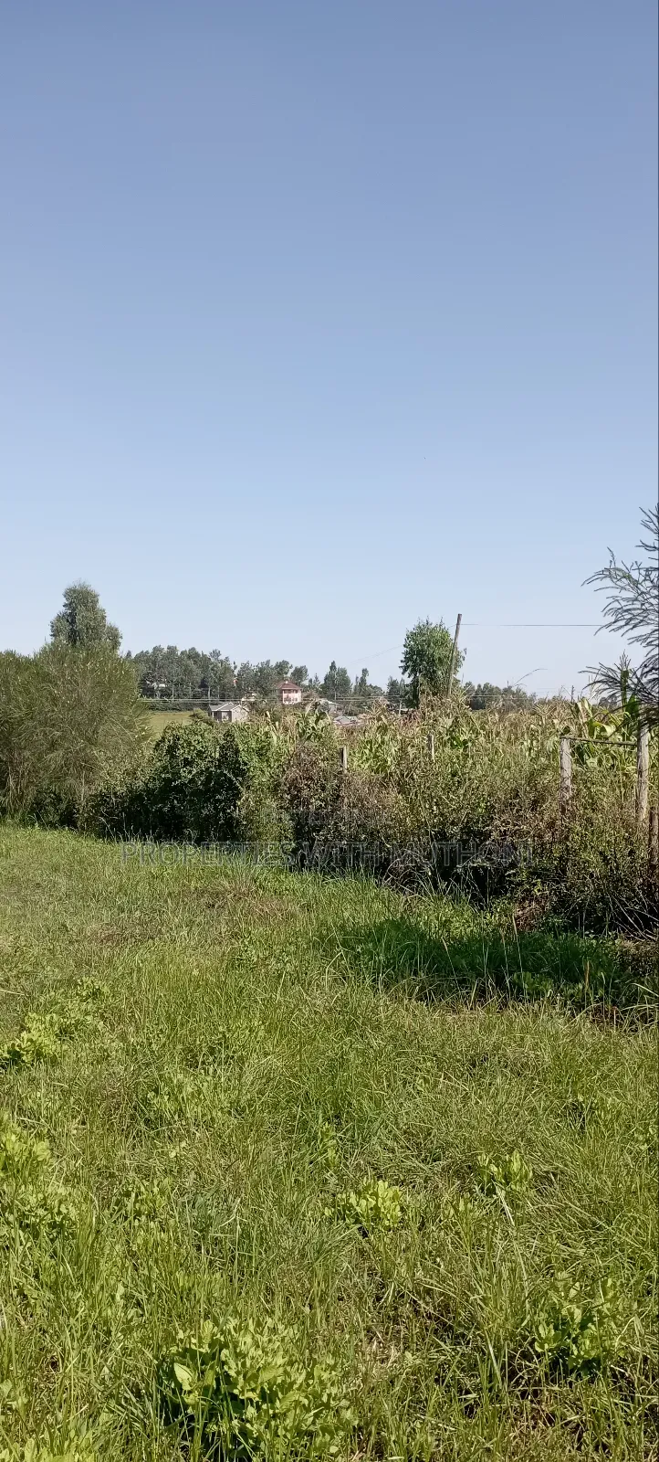 50×100 Plots for Sale in Matasia, Kiserian.