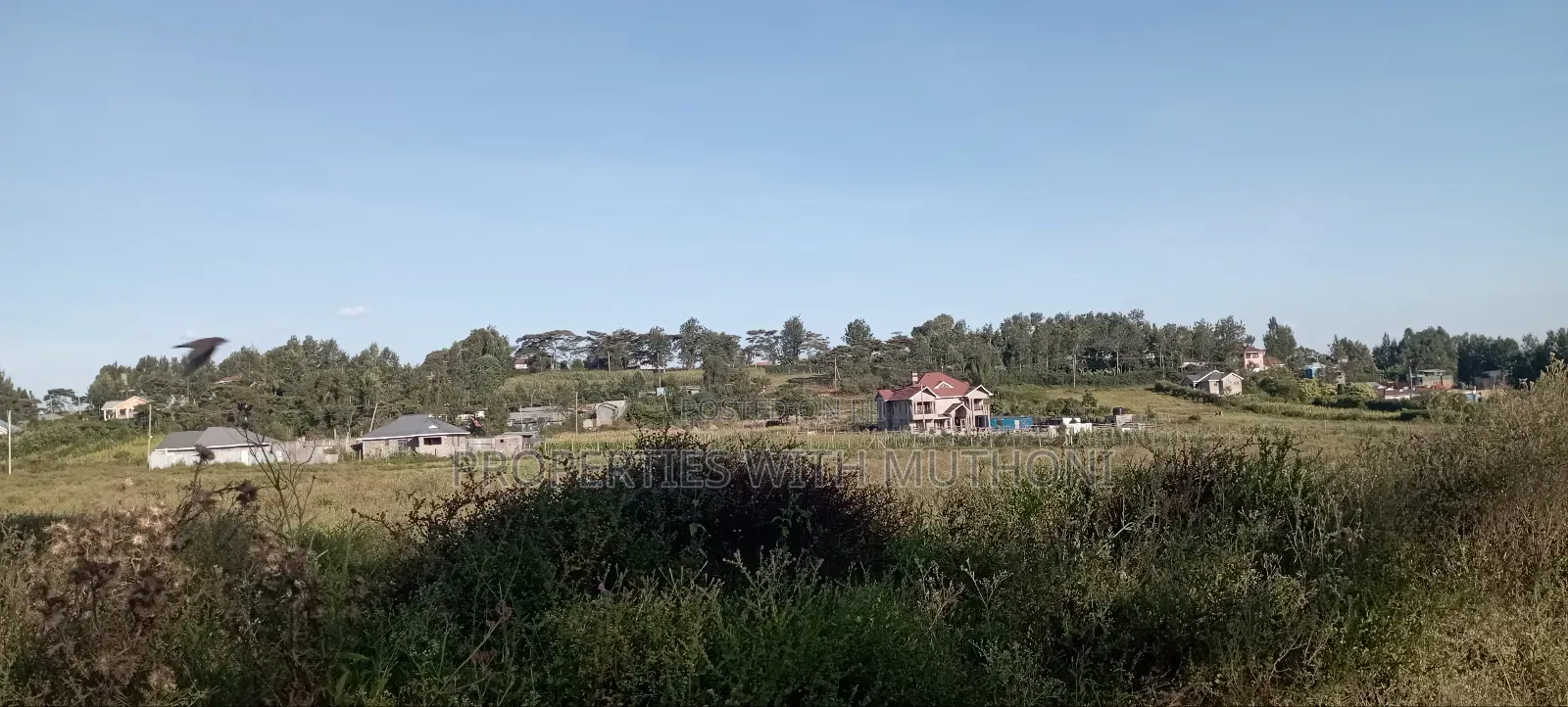 50×100 Plots for Sale in Matasia, Kiserian.